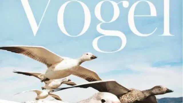 Die fantastische Reise der Vögel (Foto: Rahel Vögeli) Die fantastische Reise der Vögel (Foto: Rahel Vögeli)