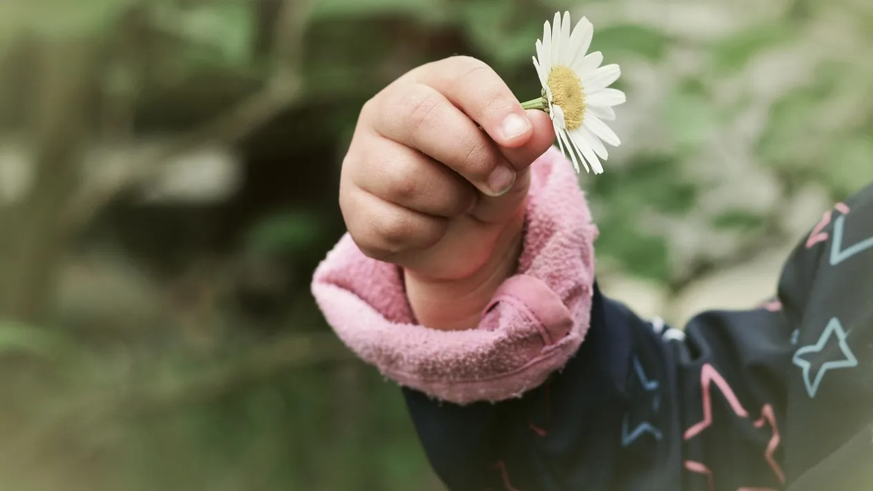 hand-3408003_1280 (Foto: congerdesign pixabay) hand-3408003_1280 (Foto: congerdesign pixabay)