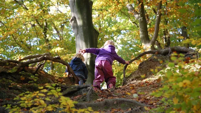 people-1357850_1280 (barbaramatthijs pixabay) (Foto: barbaramatthijs pixabay) people-1357850_1280 (barbaramatthijs pixabay) (Foto: barbaramatthijs pixabay)